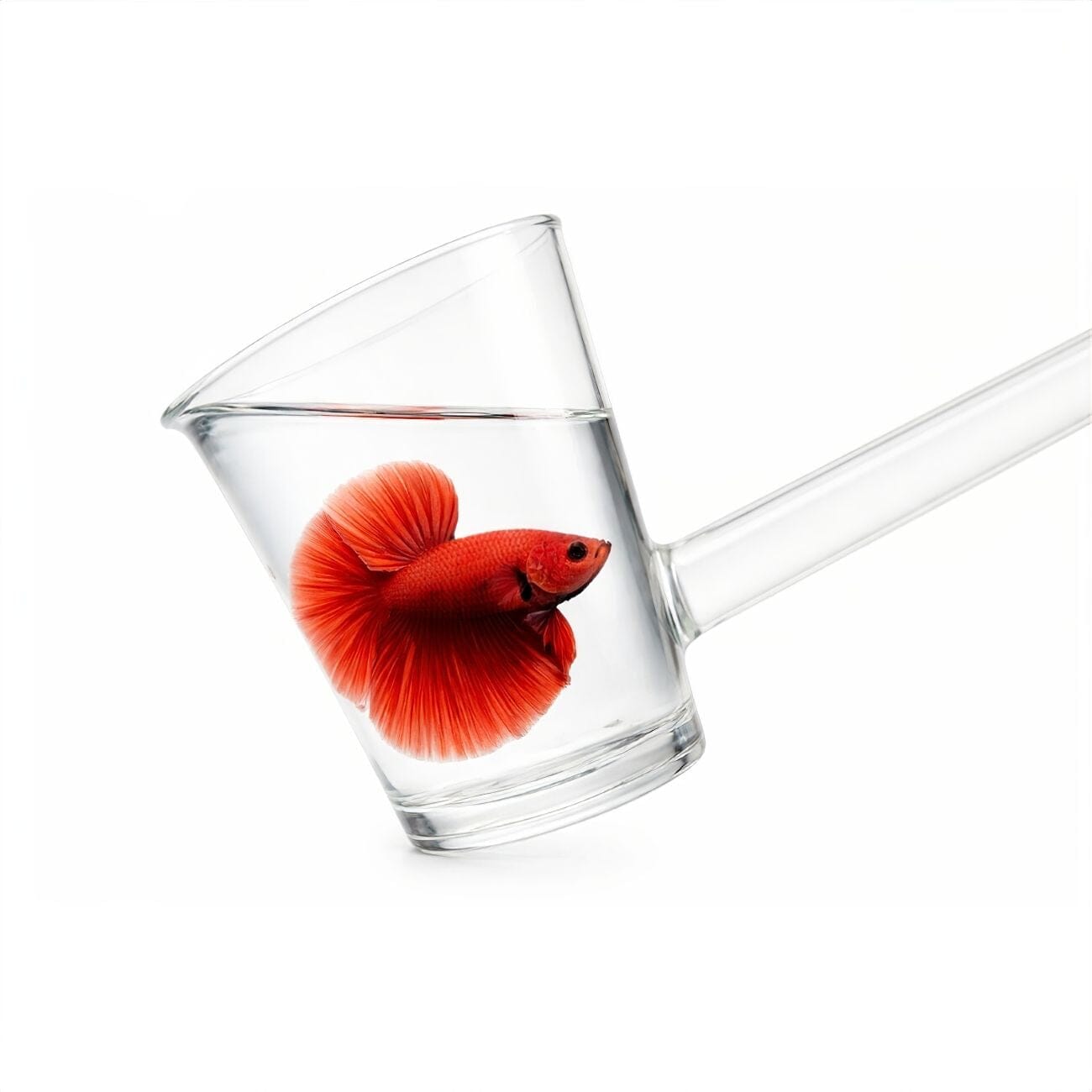 Fish and Shrimp Catcher - Extendable aquarium tool DALUA 