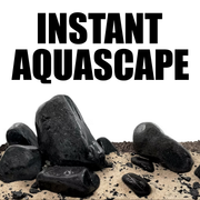 WIO - Black Allure River Kit