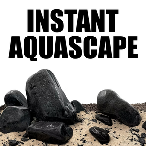 WIO - Black Allure River Kit