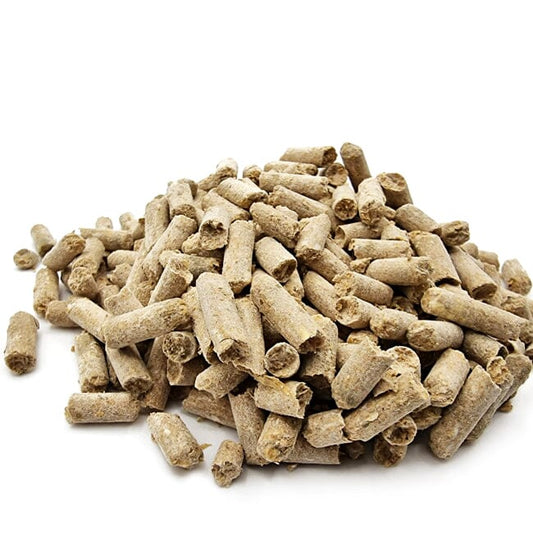 Shrimp & Fish Bottom Feeder by SAS DaluaAustralia 