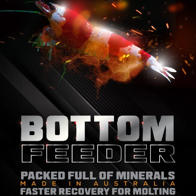 Shrimp & Fish Bottom Feeder by SAS DaluaAustralia 
