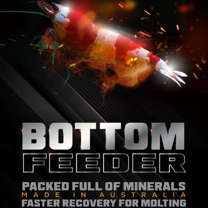 Shrimp & Fish Bottom Feeder by SAS DaluaAustralia 