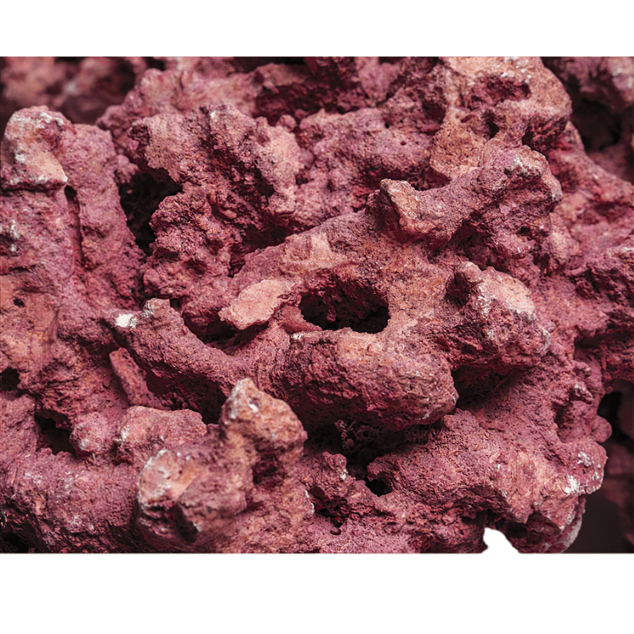 Marco Rocks Coralline DaluaAustralia 