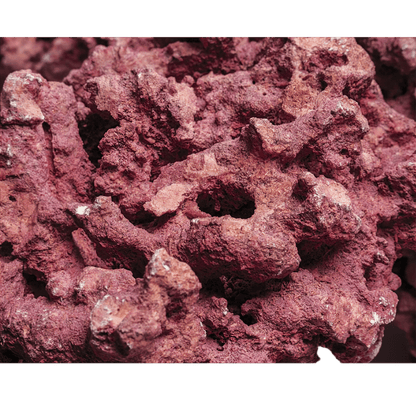 Marco Rocks Coralline DaluaAustralia 