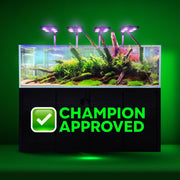 Plant Growth Terra Florabed