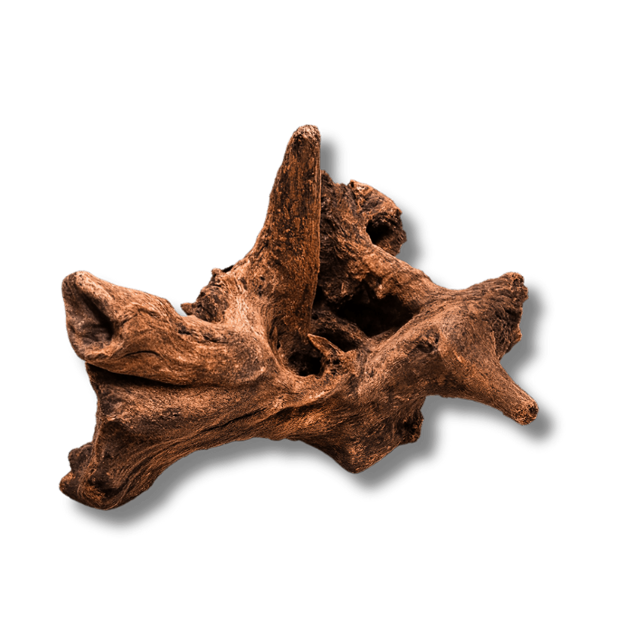 Driftwood River Series wood DaluaAustralia 