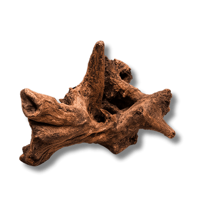 Driftwood River Series wood DaluaAustralia 