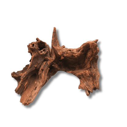 Driftwood River Series wood DaluaAustralia 