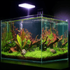 Tini LED + Free Ferts lighting bundle pack DALUA 