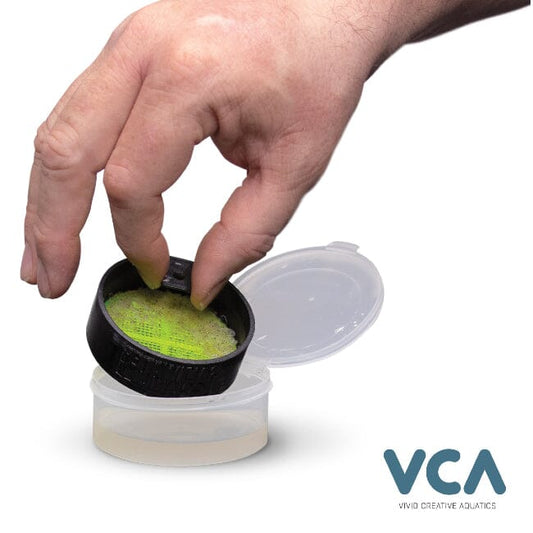 VCA Defrosting Cup DaluaAustralia 
