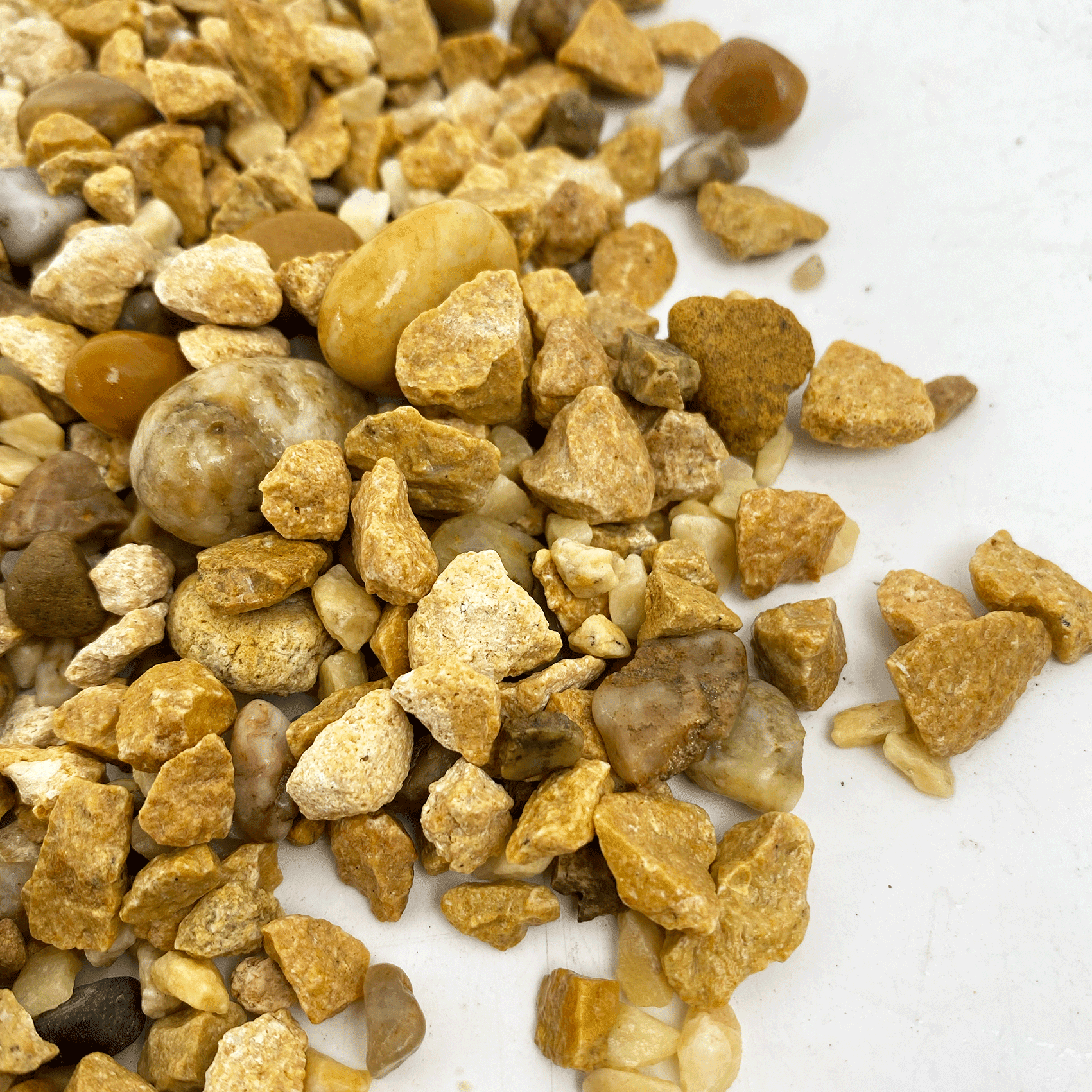 WIO - Accent Crushed Stones Wood and Rock WIO Yellow 1.6lbs 
