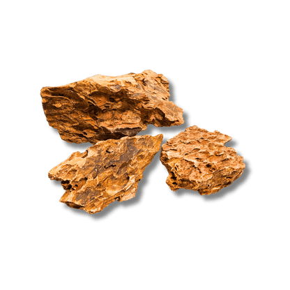 Dragon Stone (per Kg) Wood and Rock DaluaAustralia 