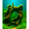 Driftwood River Series wood DaluaAustralia 