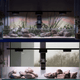 Pixel LED Bundles Aquascaper lighting bundle pack DALUA 