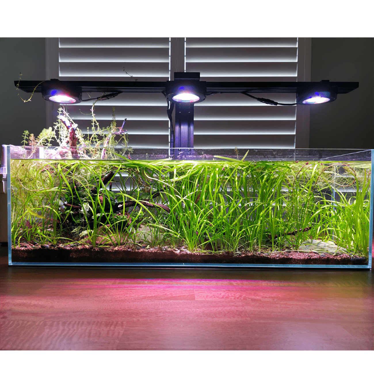 Pixel LED Bundles Aquascaper lighting bundle pack DALUA 