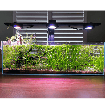 Pixel LED Bundles Aquascaper lighting bundle pack DALUA 
