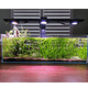 Pixel LED Bundles Aquascaper lighting bundle pack DALUA 