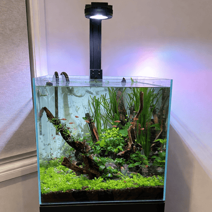 Illumagic Pixels Aquascaper LED LIGHTING DaluaAustralia 