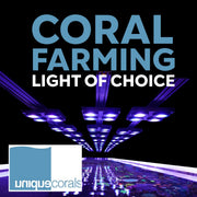X4 Beast Mode SPS Reef Lighting Bundle