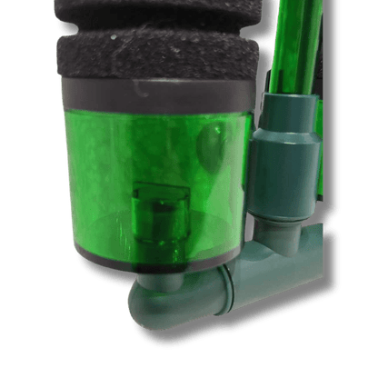 Fish, Shrimp & Quarantine Filter filter DaluaAustralia 