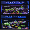 X4 + Rear Arm LED Bundle aquarium lighting bundle DALUA 