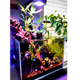 Pixel LED Bundle lighting bundle pack DALUA