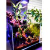 Illumagic Pixels Aquascaper LED LIGHTING DaluaAustralia 