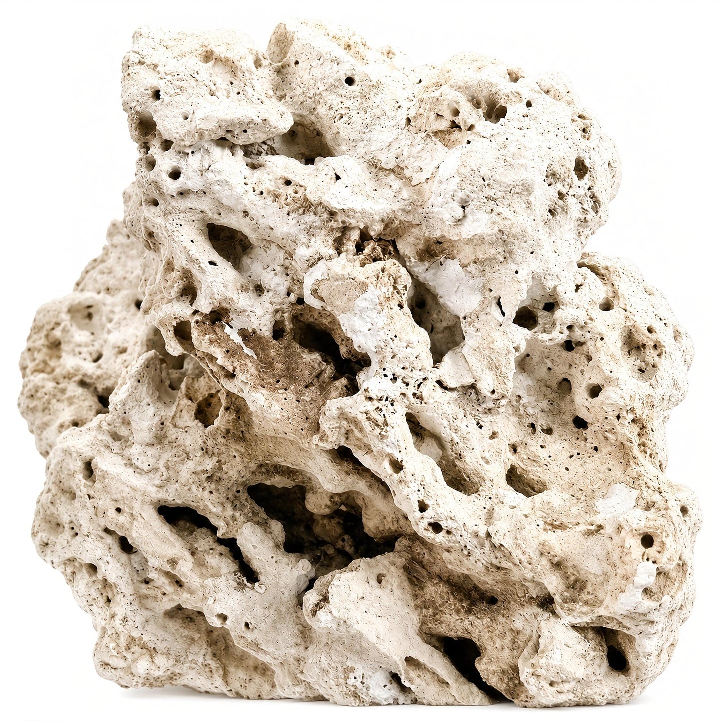 Genuine Fiji Pukani Rocks ROCK DaluaAustralia 