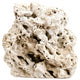 Genuine Fiji Pukani Rocks ROCK DaluaAustralia 