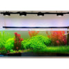 Healthy aquarium plants rely on a steady supply of nutrients to maintain strong growth and vibrant colour. DaluaAustralia 