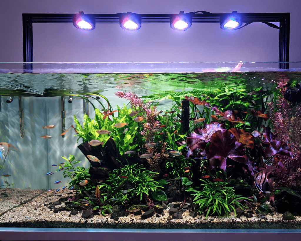 Pixel LED Bundles Aquascaper lighting bundle pack DALUA 