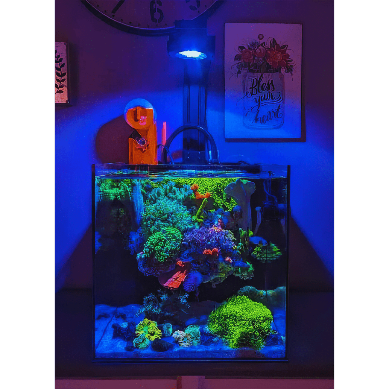 Pixel LED Bundle lighting bundle pack DALUA 