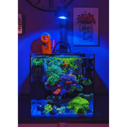 Pixel LED Bundle lighting bundle pack DALUA 