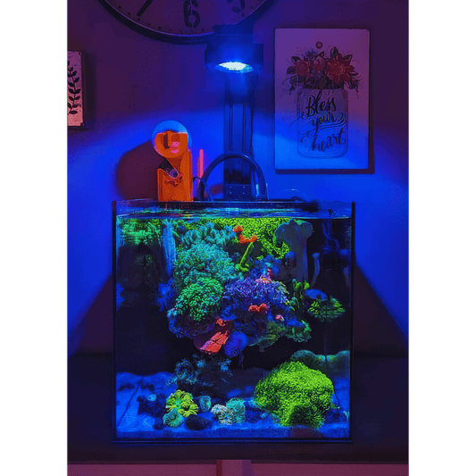 Pixel LED Bundle lighting bundle pack DALUA 