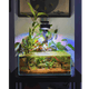 Pixel LED Bundle lighting bundle pack DALUA