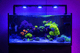 Pixel LED Bundles All Sizes lighting bundle pack DALUA