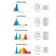 Single Pixel LED Bundle lighting bundle pack DALUA
