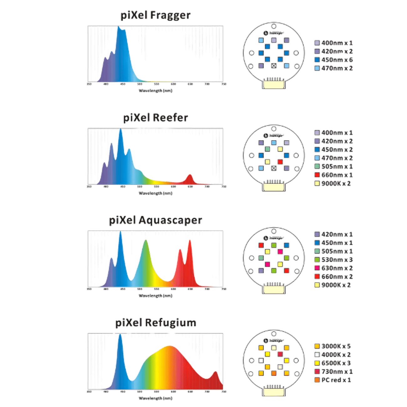 Single Pixel LED Bundle lighting bundle pack DALUA 