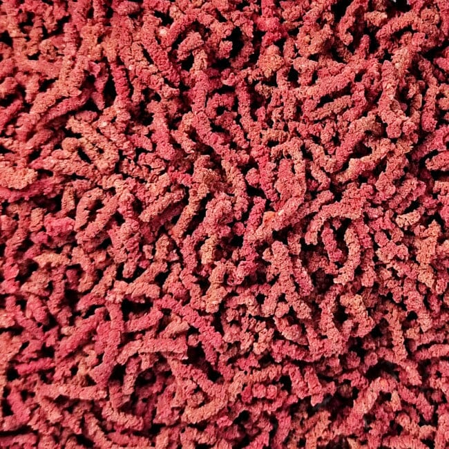 Shrimp Food Spectrum Red DaluaAustralia 