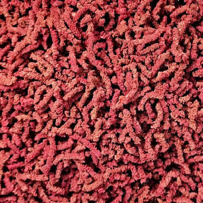 Shrimp Food Spectrum Red DaluaAustralia 