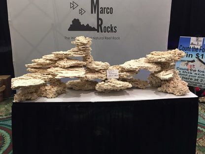 Marco Rocks DaluaAustralia 