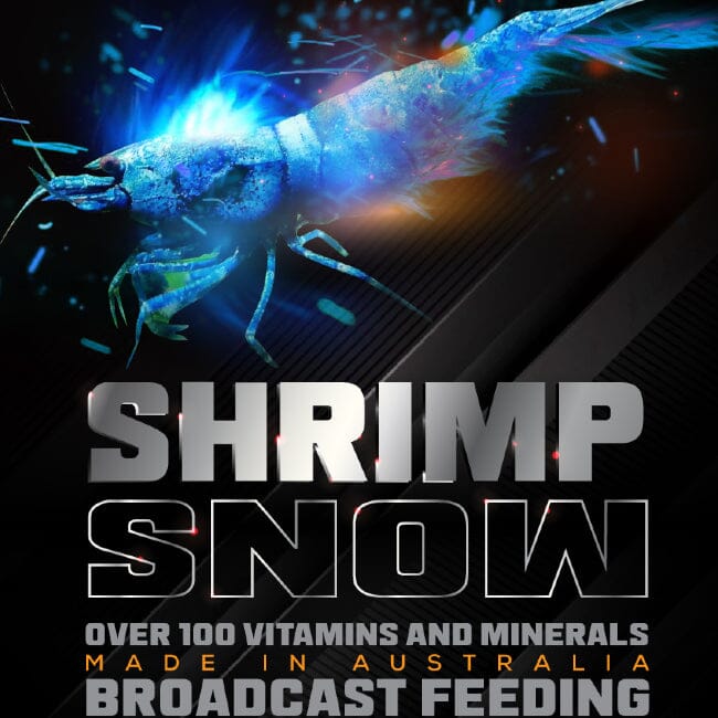 Shrimp 3 in 1 Starter by SAS shrimp food DaluaAustralia 