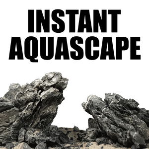 Ultimate Iwagumi Starter Kit – Complete Light, Hardscape & Filtration Bundle