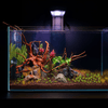 Tini LED + Free Ferts lighting bundle pack DALUA 