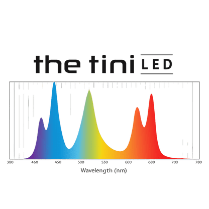 The Tini Aquascaper LED lighting bundle pack DALUA 