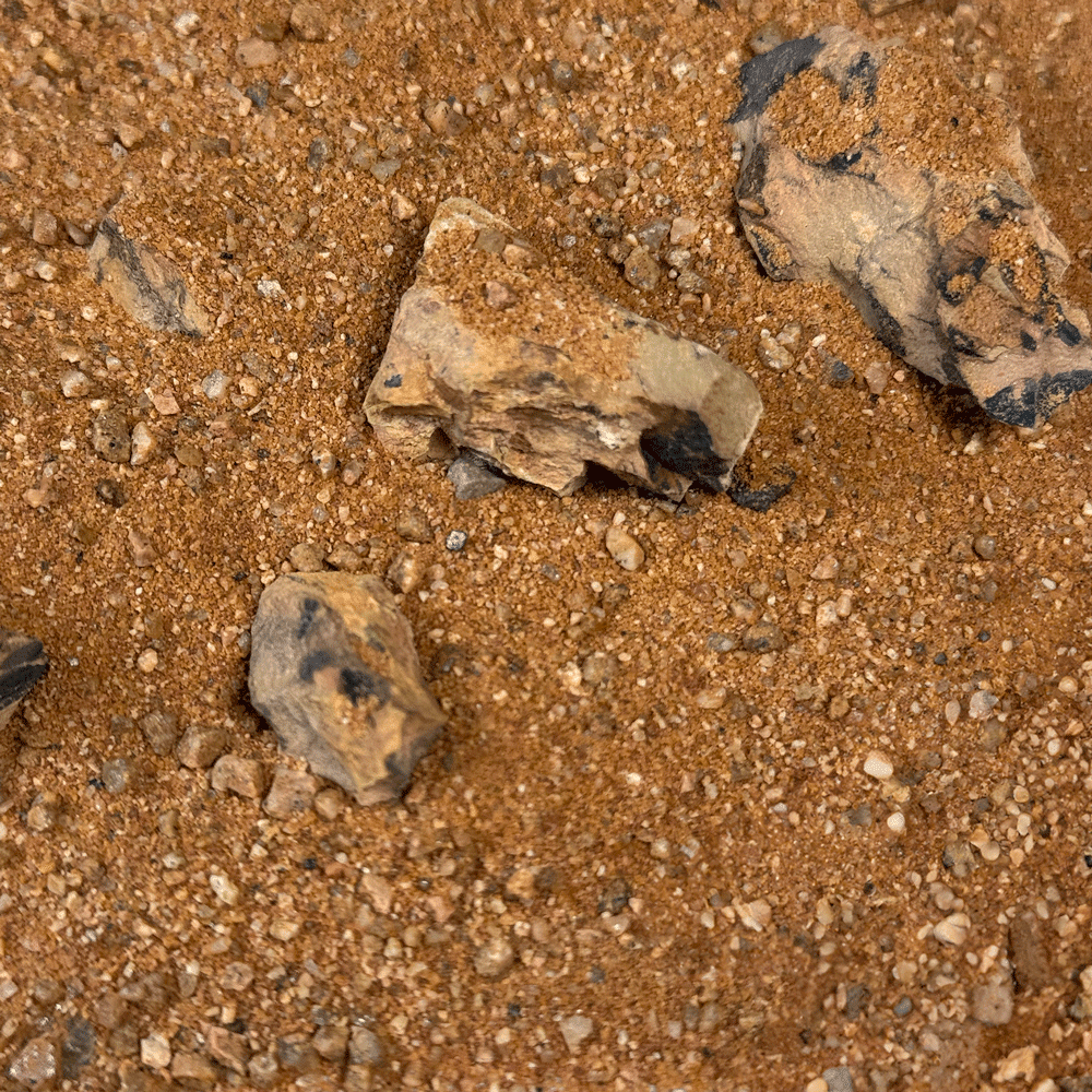 WIO - Amber Dragon Riverbed Soil and Substrate WIO 