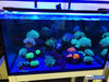 Vitamini Strips AQUARIUM LIGHTING DALUA 
