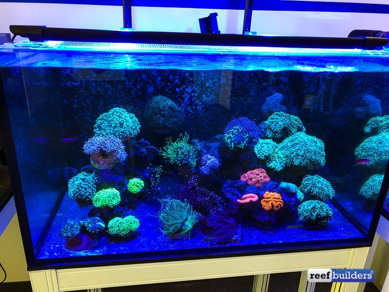 Vitamini Strips AQUARIUM LIGHTING DALUA 