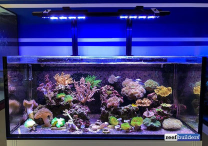 Vitamini Strips AQUARIUM LIGHTING DALUA 