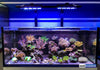 Vitamini Strips AQUARIUM LIGHTING DALUA